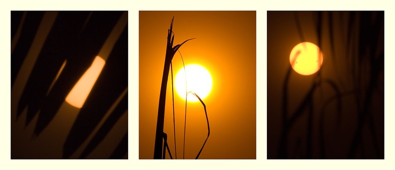three_suns_triplet.jpg